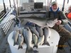 (01/26/2016) - Nice Striped Bass